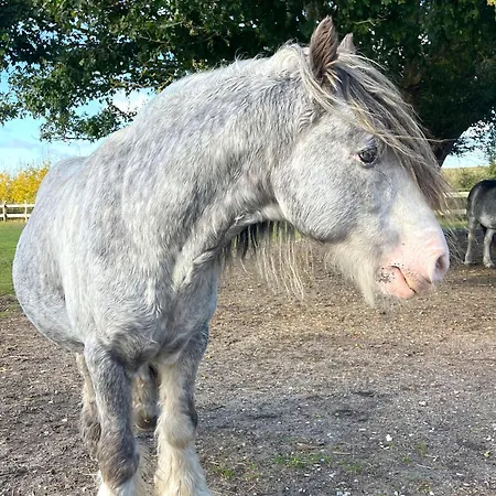 Bounty Teichhof Fehmarn Lägenhet *