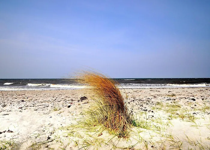 Bounty Teichhof Fehmarn *