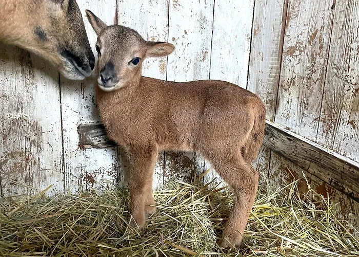 Bounty Teichhof Fehmarn