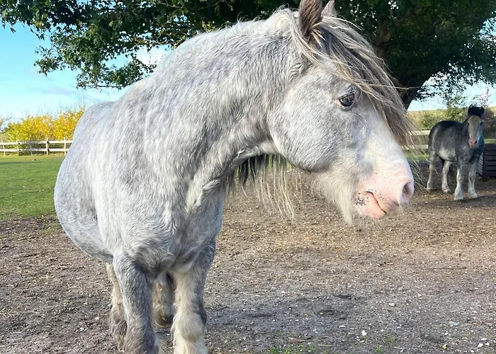 Bounty Teichhof Fehmarn Lägenhet *